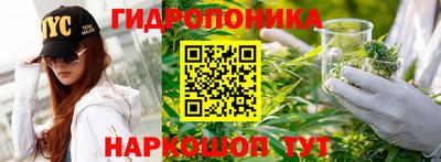 тгк Абакан