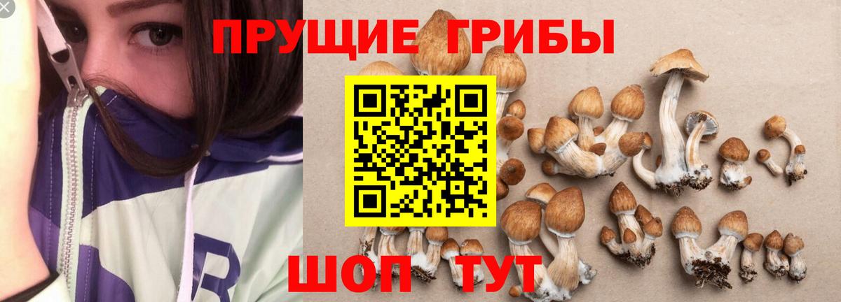 Галлюциногенные грибы MAGIC MUSHROOMS Альметьевск