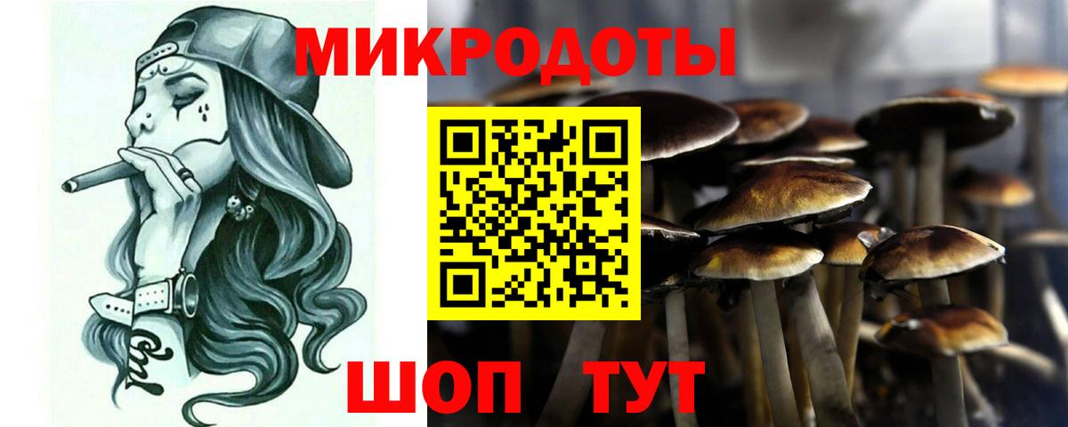Альметьевск  Псилоцибиновые грибы мухоморы  даркнет сайт  Вход с VPN 